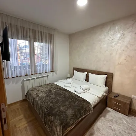 Dandelion 13m Zlatibor